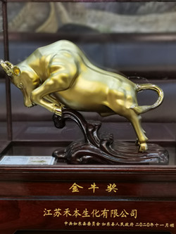 牛_副本.jpg
